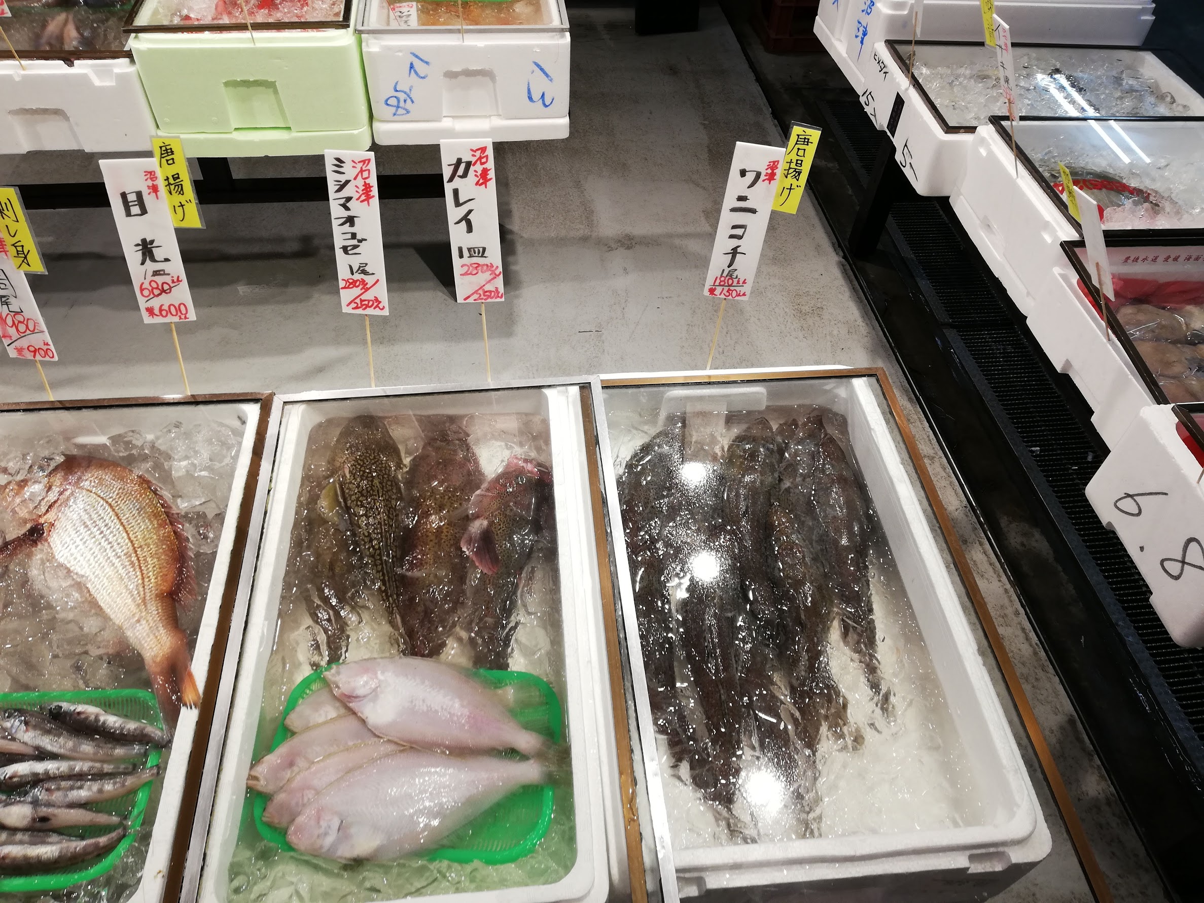 沼津港の鮮魚店 魚建 は鮮魚だけでなく地物深海魚まで ヌローライフ