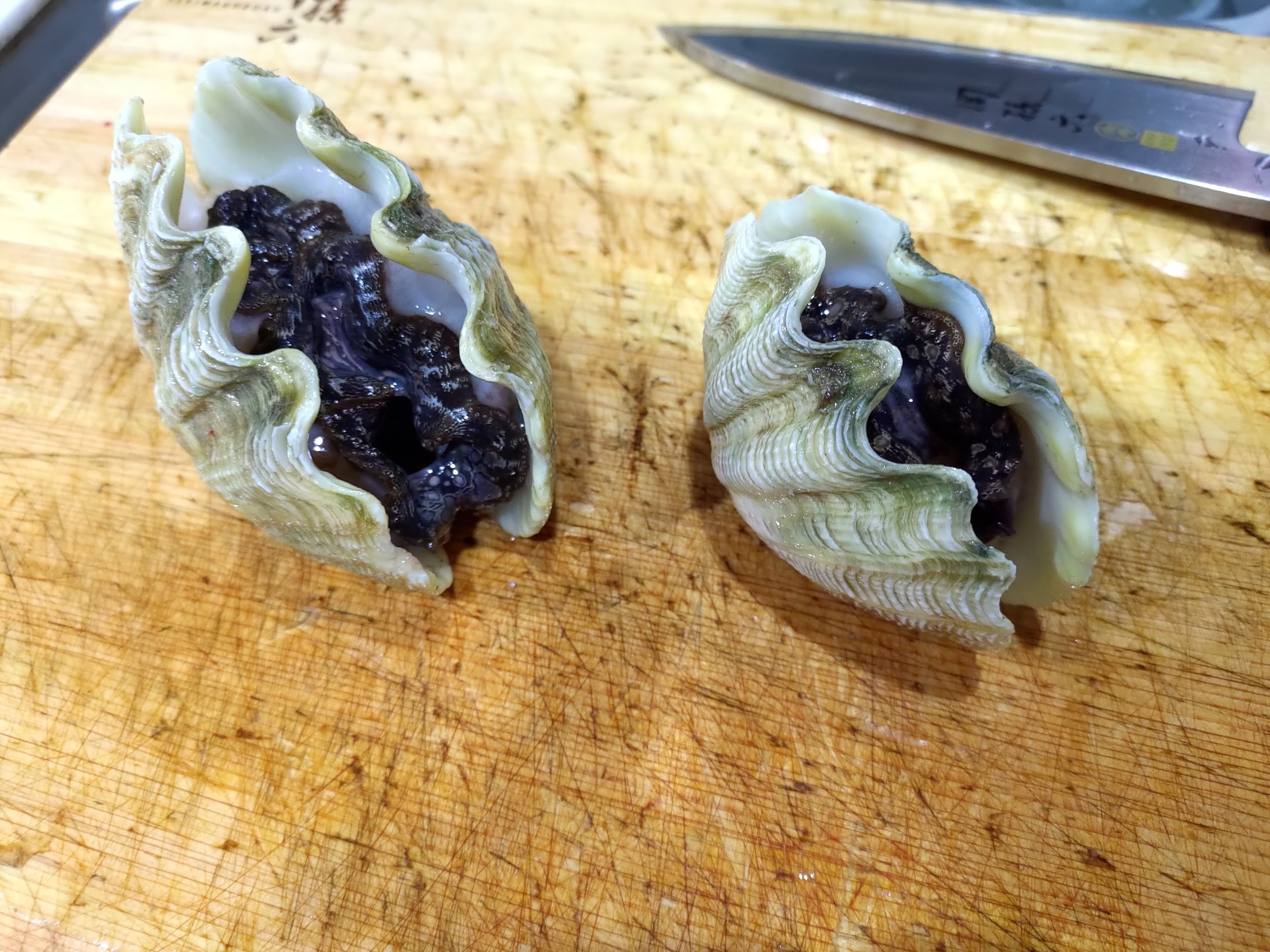 食べる貝 シャコ貝 種類 コスパ最強 ヒメシャコガイとオキシジミを食べ 