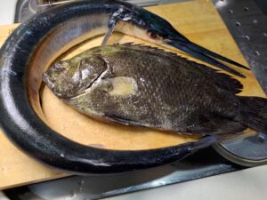 嫌われ者の魚 ダツ の美味しい食べ方 ヌローライフ