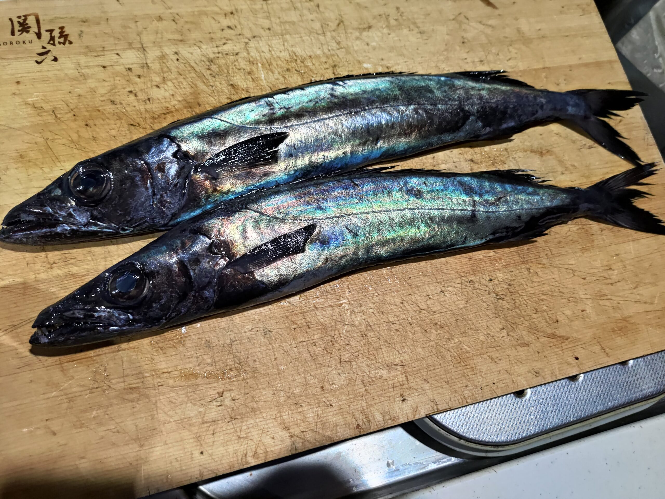 別名 炭焼き 真っ黒な深海魚クロシビカマスが衝撃的な美味さ ヌローライフ