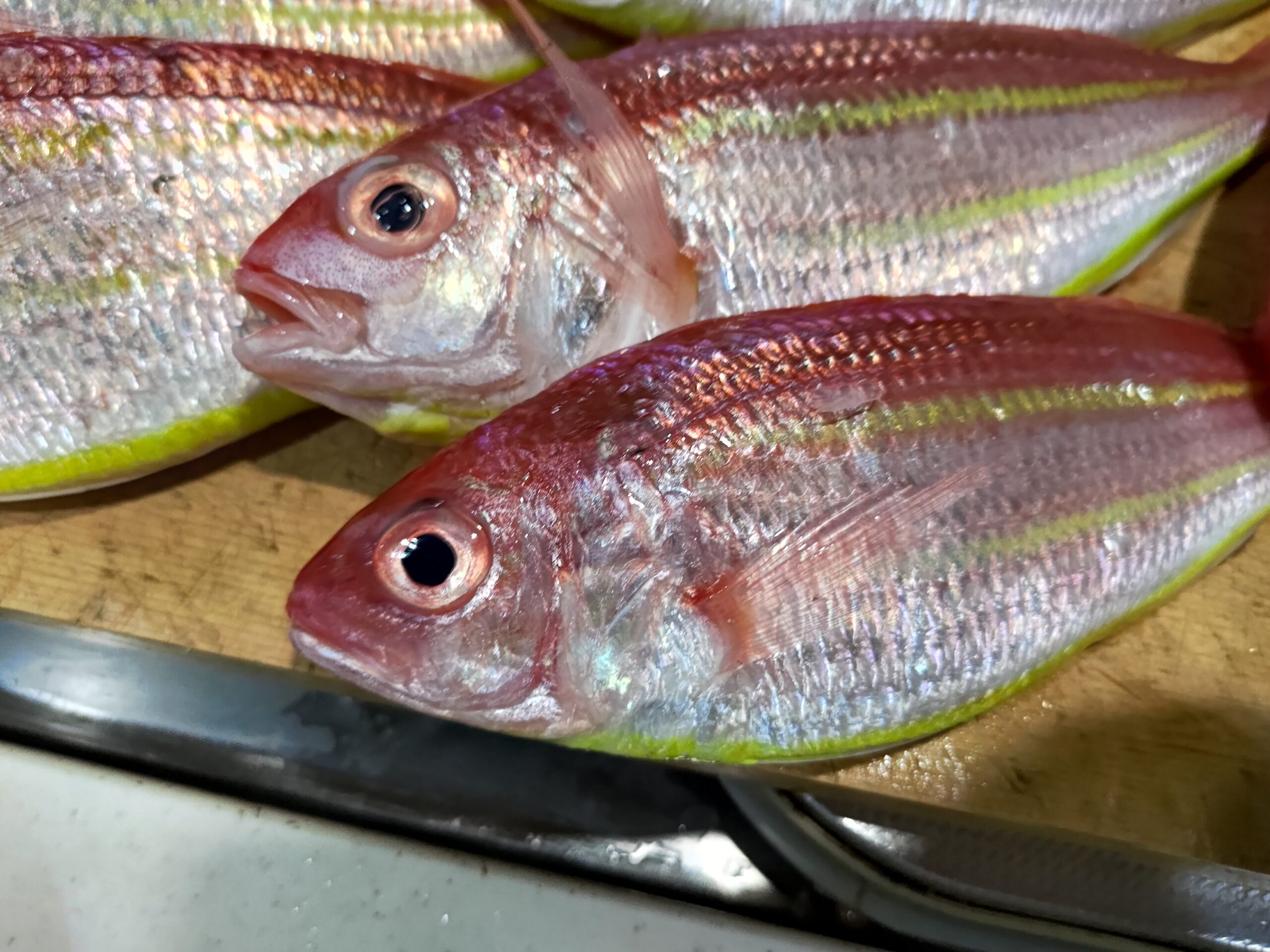 低利用魚 ソコイトヨリを大人買い 食べないのは勿体ない絶品魚だった ヌローライフ