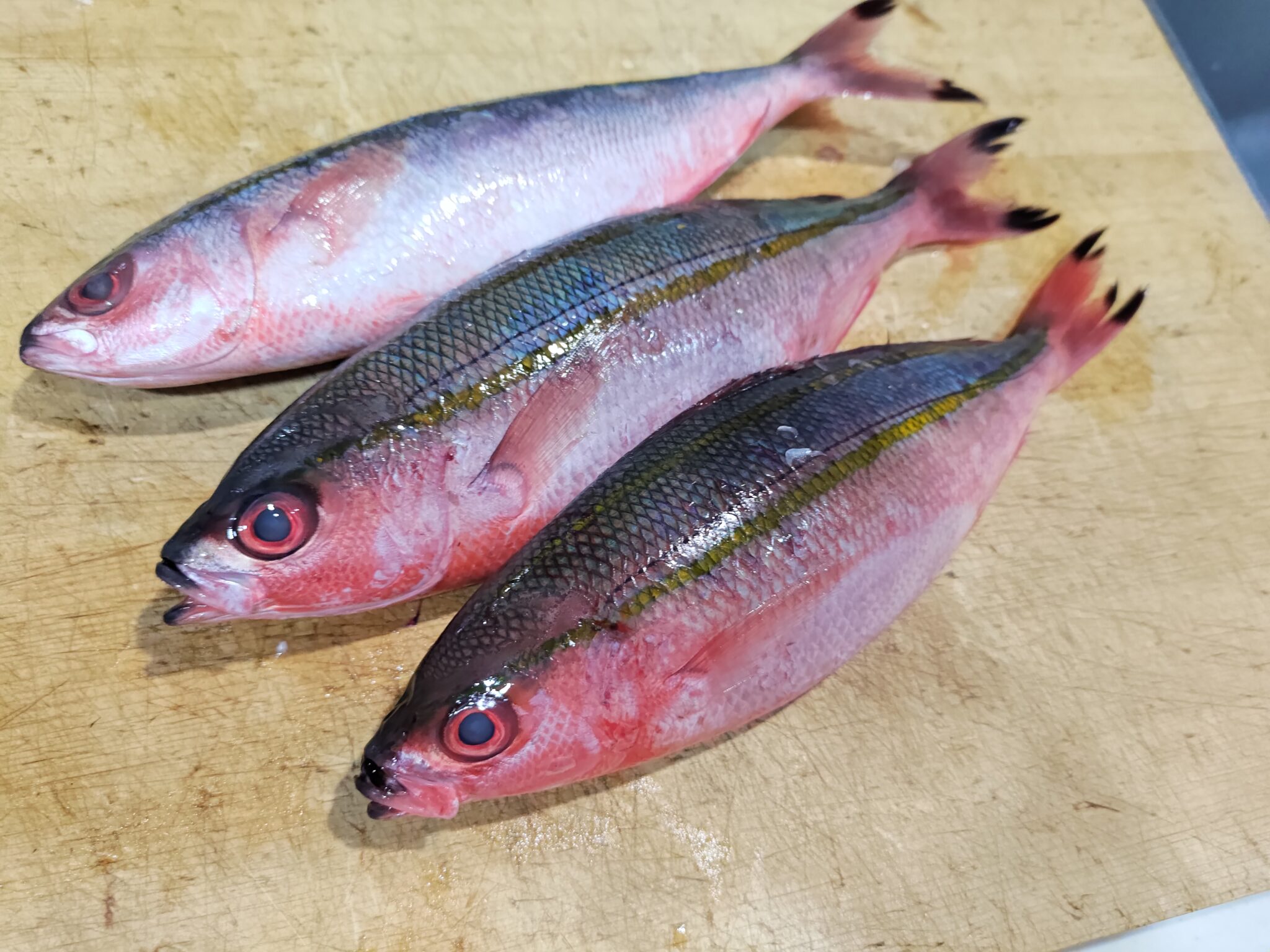 沖縄県の県魚「グルクン」ことタカサゴを食べ尽くす! | ヌローライフ