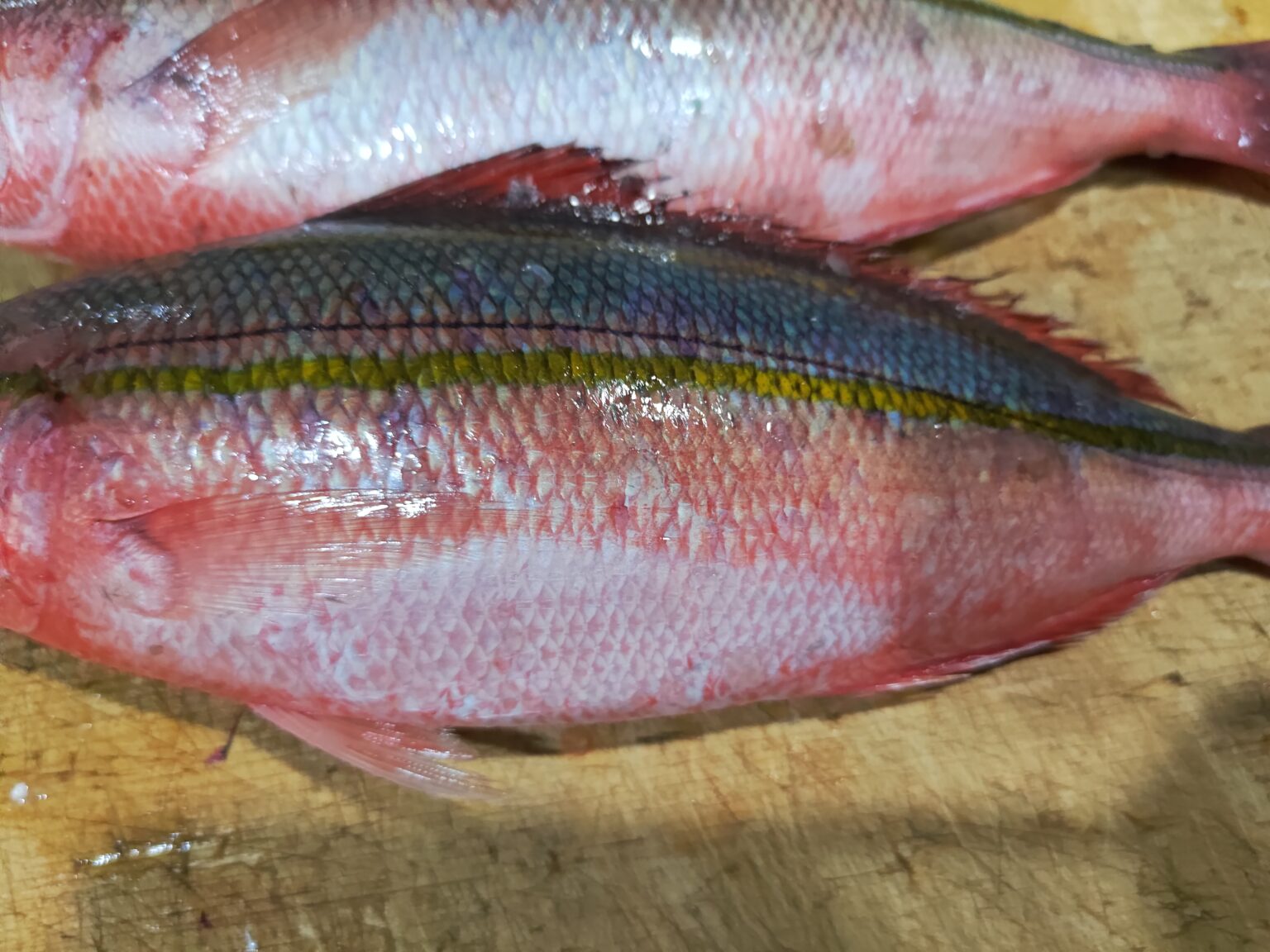沖縄県の県魚「グルクン」ことタカサゴを食べ尽くす! | ヌローライフ