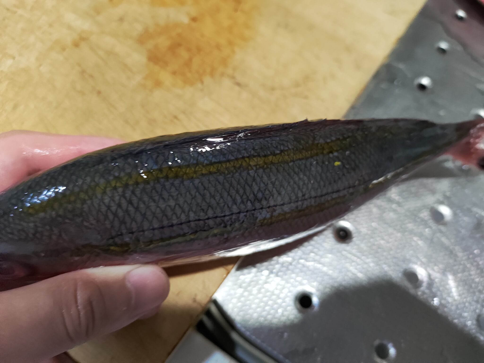 沖縄県の県魚「グルクン」ことタカサゴを食べ尽くす! | ヌローライフ