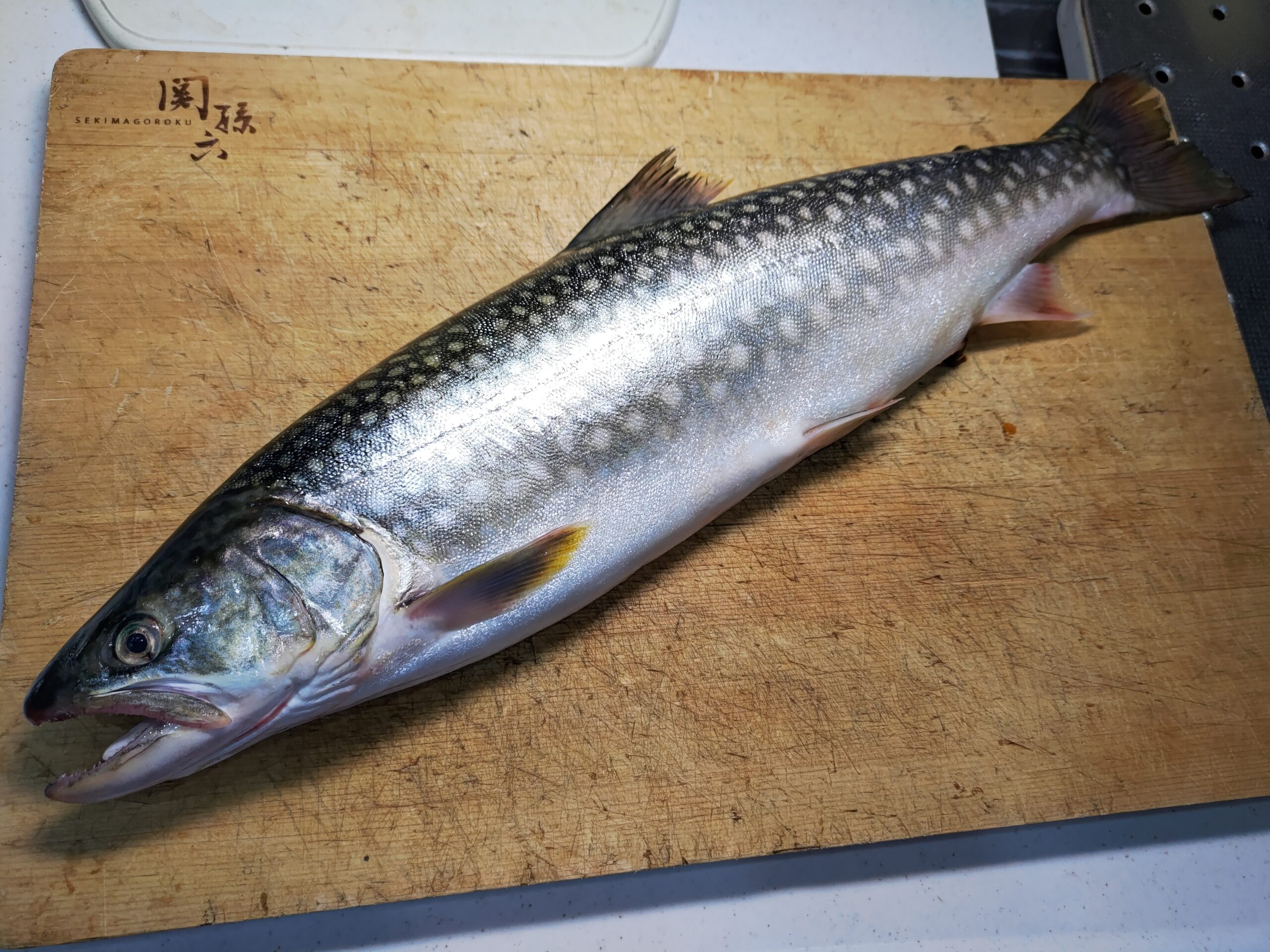 梅雨の前のひと雨、アメマス | ヌローライフ