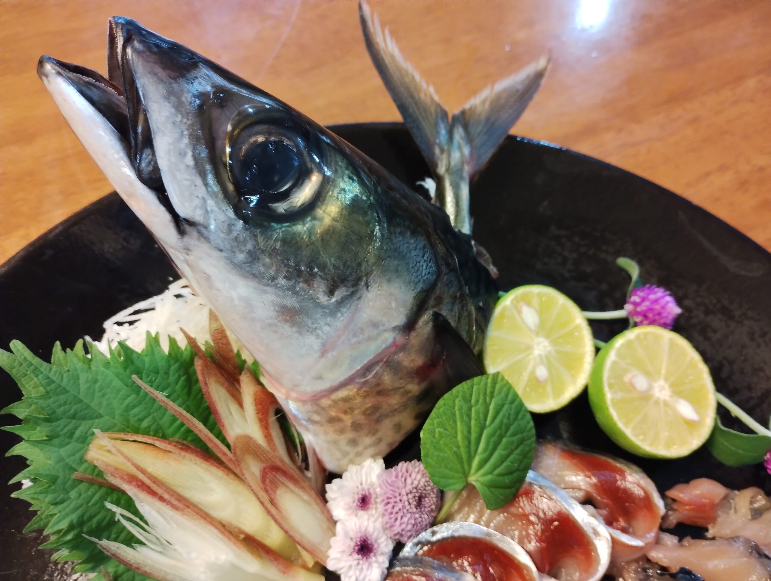 ゴマサバは夏に食べるべし! | ヌローライフ