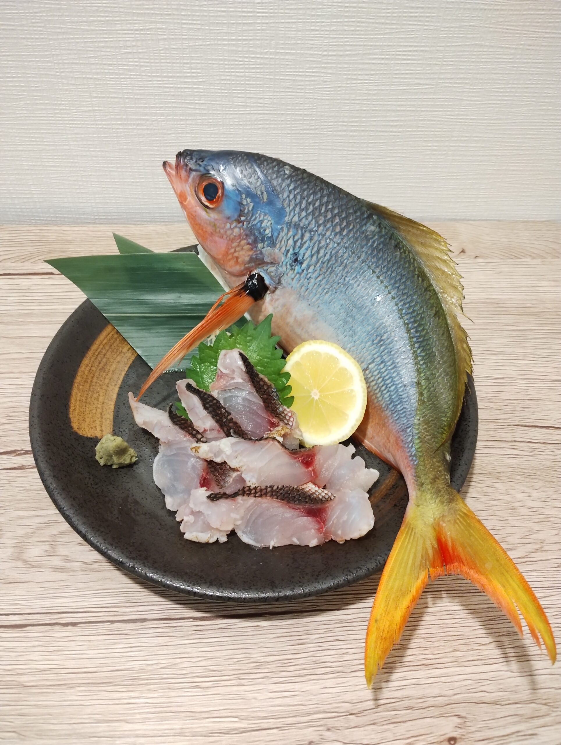 海よりも青いウメイロモドキ | ヌローライフ